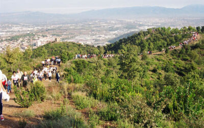 33a Marxa Popular Montornès 2025